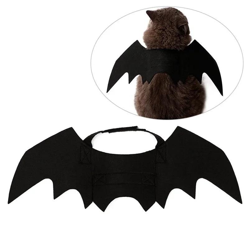 Fantasia de Morcego para Pets
