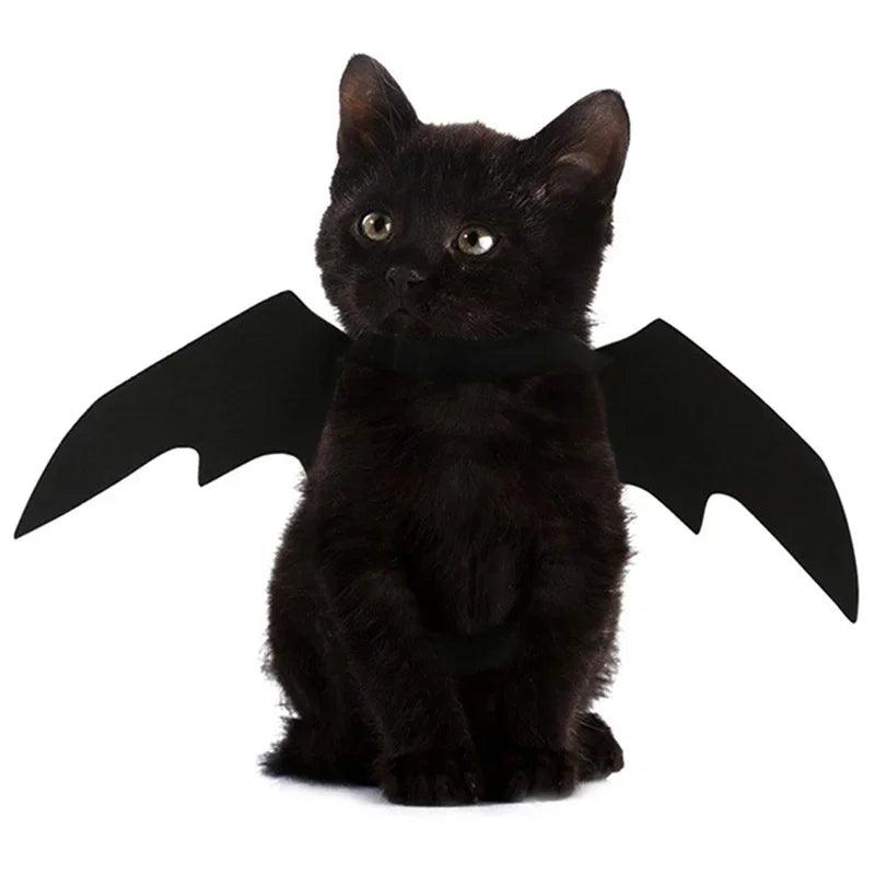 Fantasia de Morcego para Pets