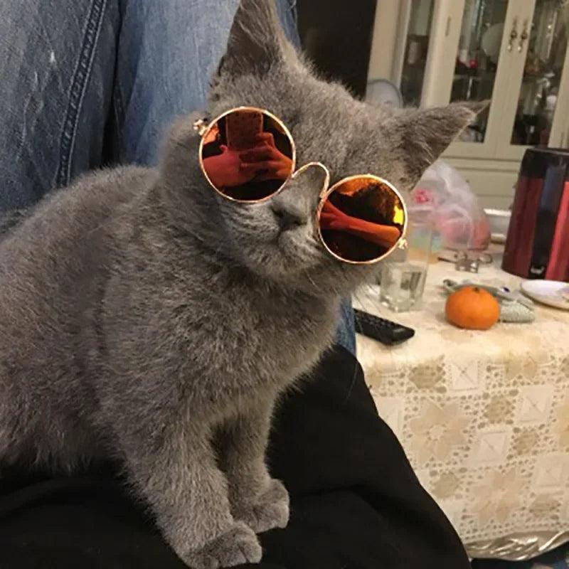 Óculos para Pets