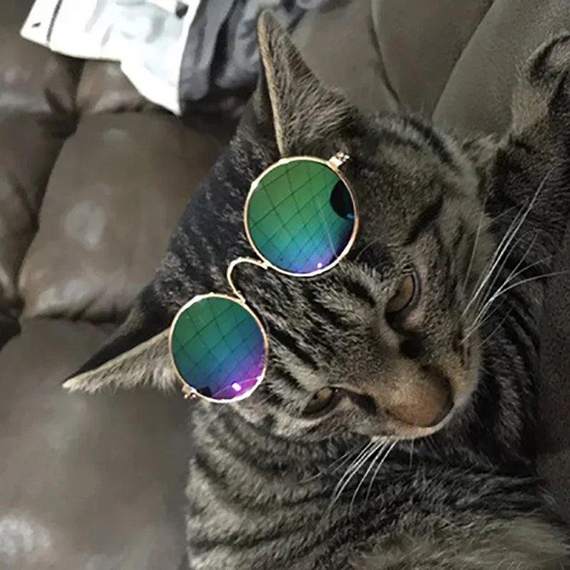 Óculos para Pets
