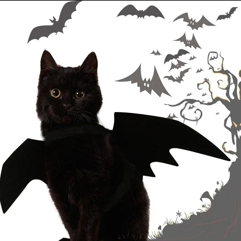 Fantasia de Morcego para Pets