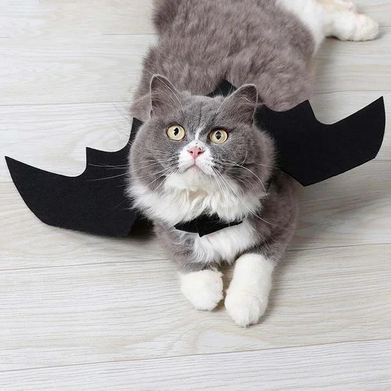 Fantasia de Morcego para Pets